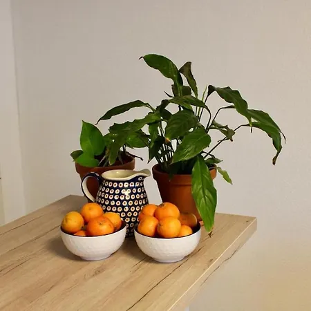 Cozy Near Airport & Trade Fair